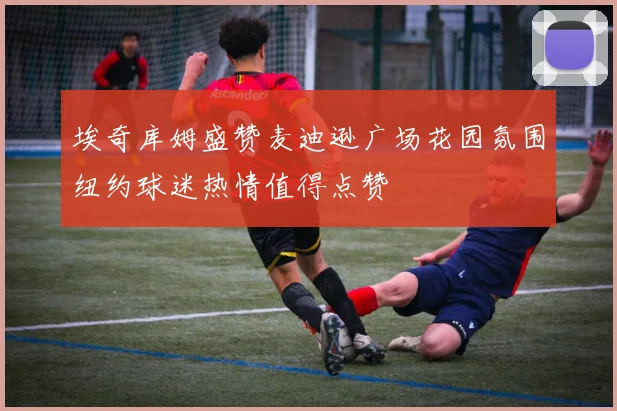 埃奇库姆盛赞麦迪逊广场花园氛围纽约球迷热情值得点赞